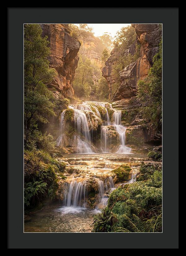 Gorman Falls Tranquility