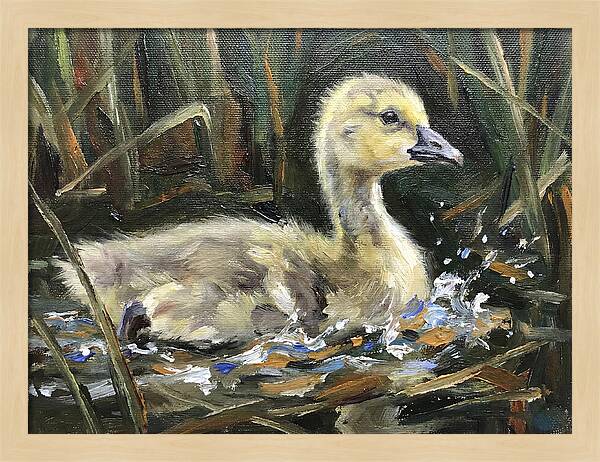 Gosling Among The Reeds
