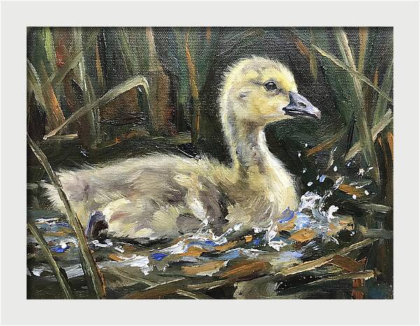 Gosling Among The Reeds