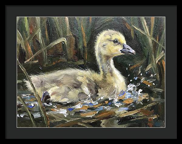 Gosling Among The Reeds