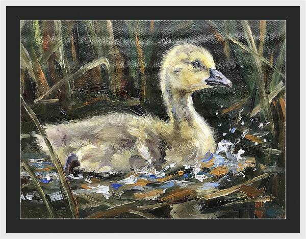 Gosling Among The Reeds