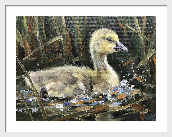 Gosling Among The Reeds