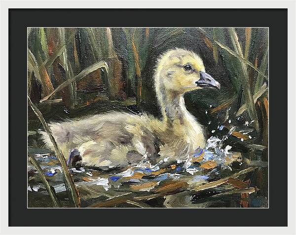 Gosling Among The Reeds