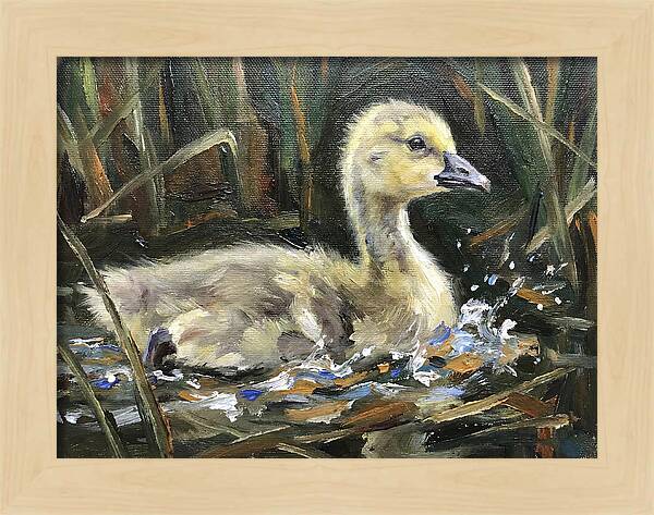 Gosling Among The Reeds