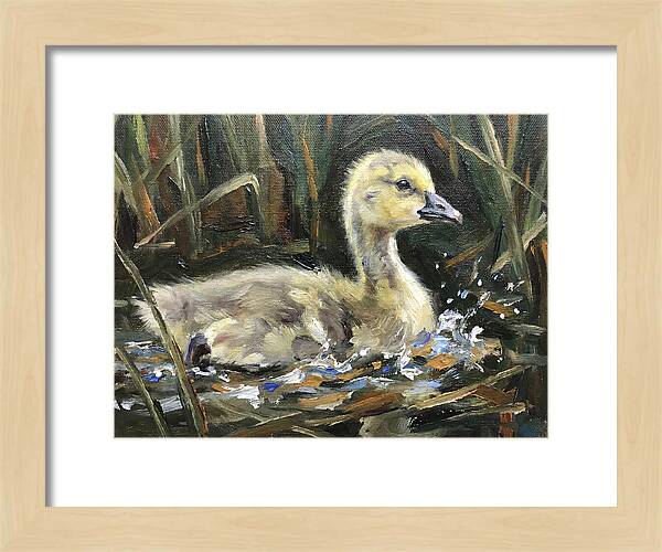 Gosling Among The Reeds