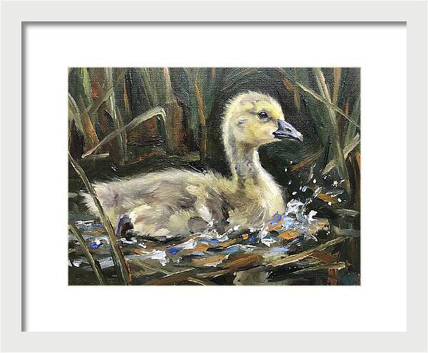 Gosling Among The Reeds