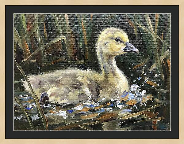 Gosling Among The Reeds