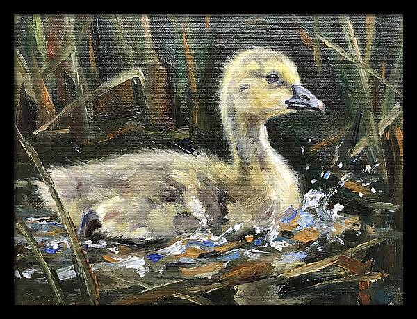 Gosling Among The Reeds