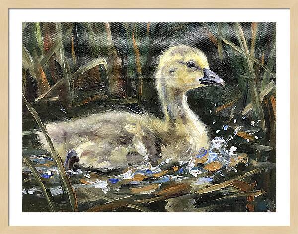 Gosling Among The Reeds