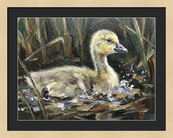 Gosling Among The Reeds