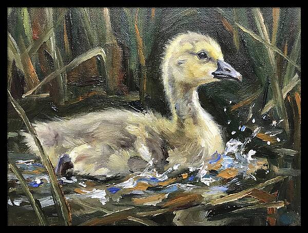 Gosling Among The Reeds
