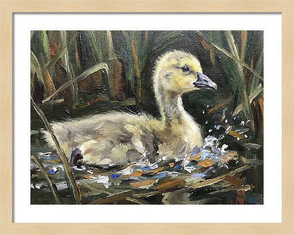 Gosling Among The Reeds
