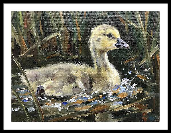 Gosling Among The Reeds