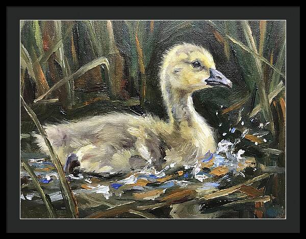 Gosling Among The Reeds