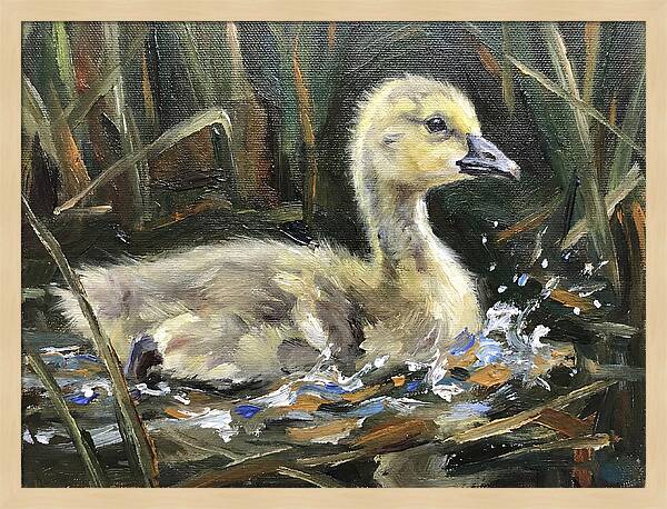 Gosling Among The Reeds