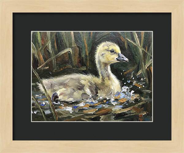 Gosling Among The Reeds