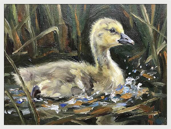 Gosling Among The Reeds