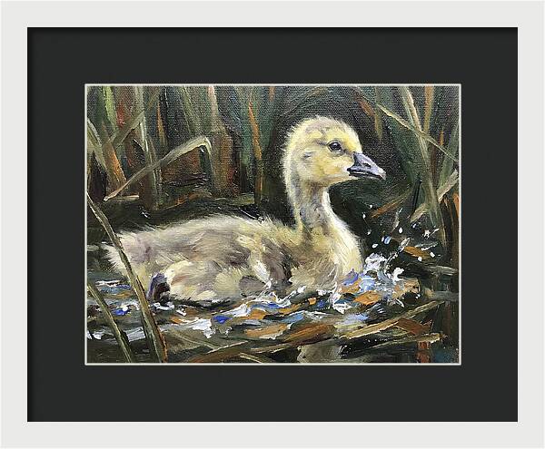 Gosling Among The Reeds