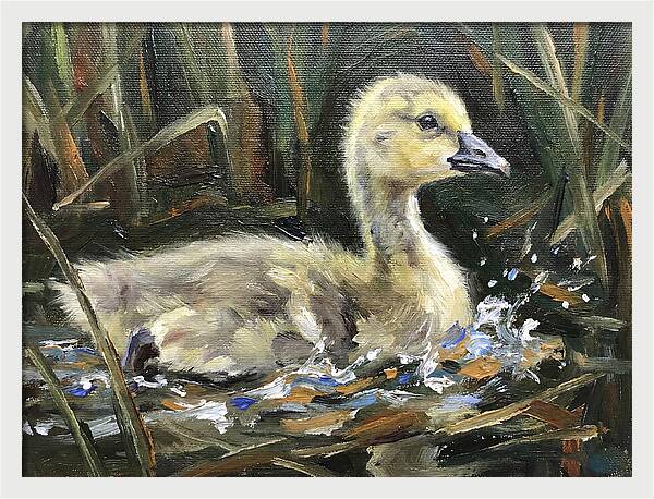 Gosling Among The Reeds