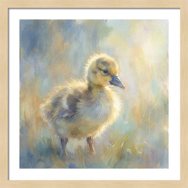 Gosling In Soft Light