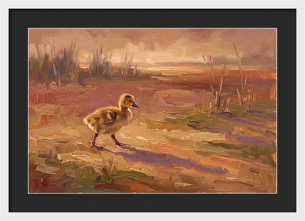 Gosling In The Mediterranean Light