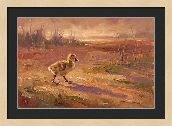 Gosling In The Mediterranean Light