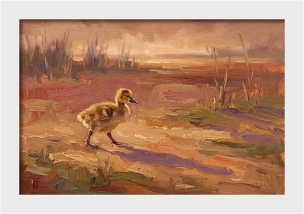 Gosling In The Mediterranean Light