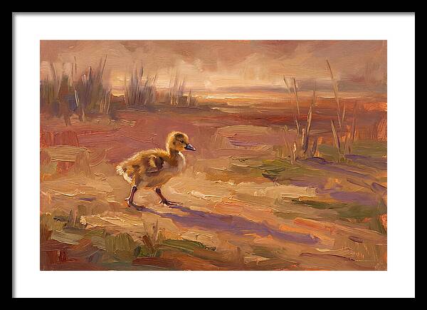 Gosling In The Mediterranean Light
