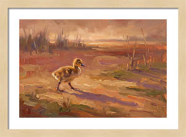 Gosling In The Mediterranean Light