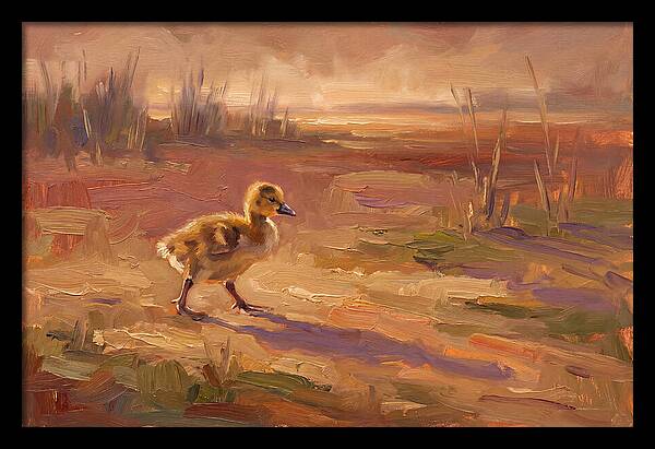 Gosling In The Mediterranean Light