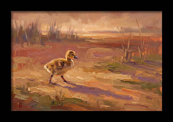 Gosling In The Mediterranean Light