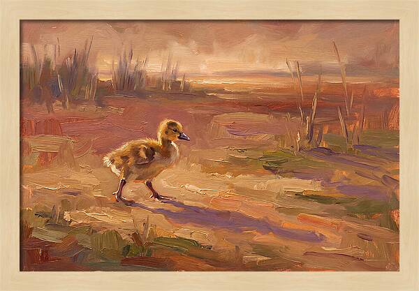 Gosling In The Mediterranean Light