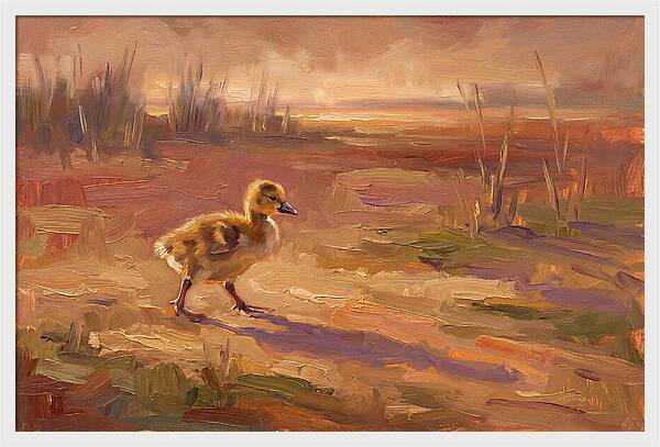 Gosling In The Mediterranean Light