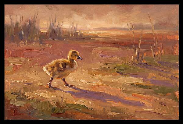 Gosling In The Mediterranean Light