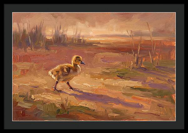 Gosling In The Mediterranean Light