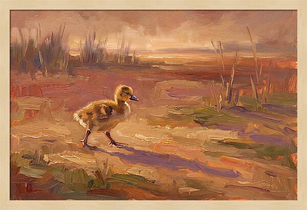 Gosling In The Mediterranean Light