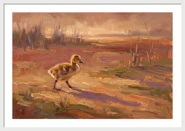 Gosling In The Mediterranean Light