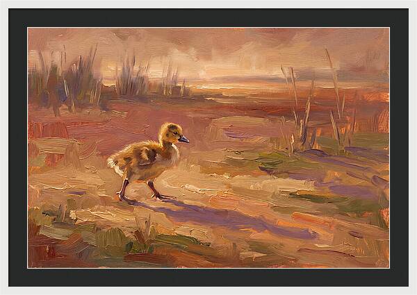 Gosling In The Mediterranean Light