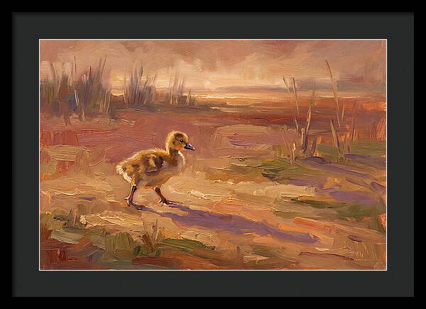 Gosling In The Mediterranean Light