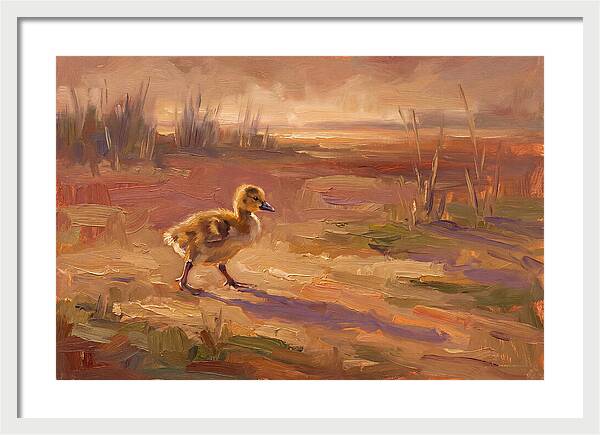 Gosling In The Mediterranean Light