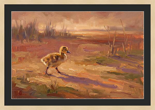 Gosling In The Mediterranean Light