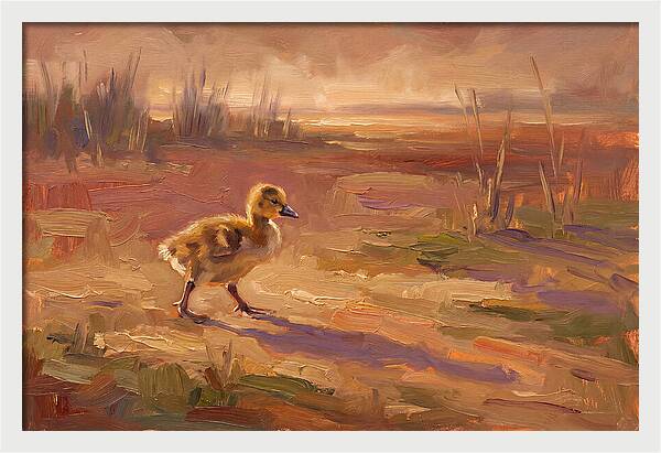 Gosling In The Mediterranean Light