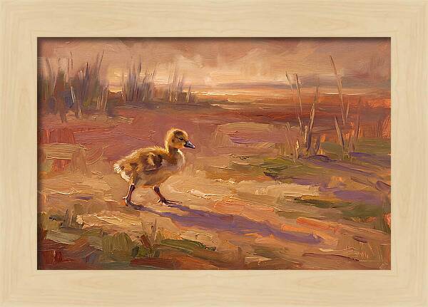Gosling In The Mediterranean Light