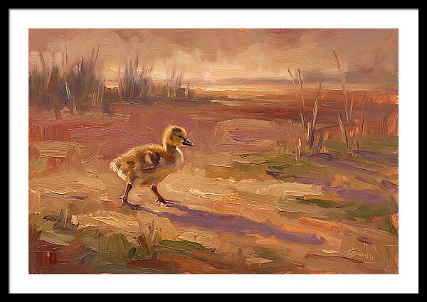 Gosling In The Mediterranean Light