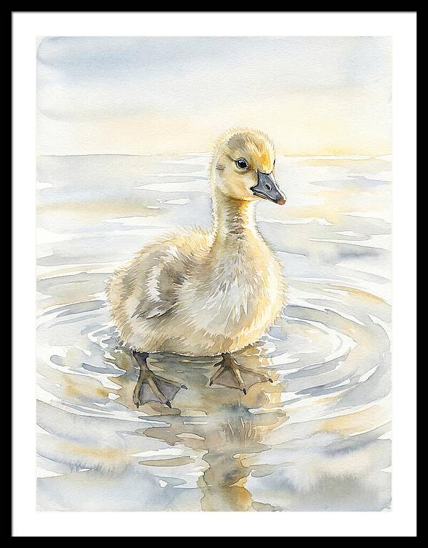 Gosling In Tranquil Waters
