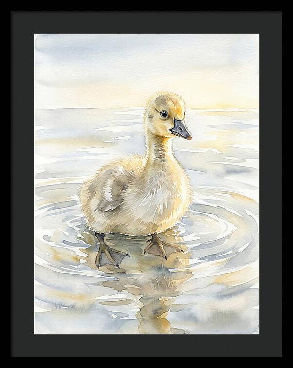 Gosling In Tranquil Waters