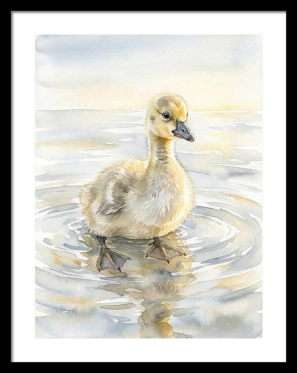 Gosling In Tranquil Waters