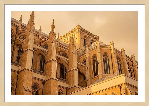 Gothic Cathedral Elegance