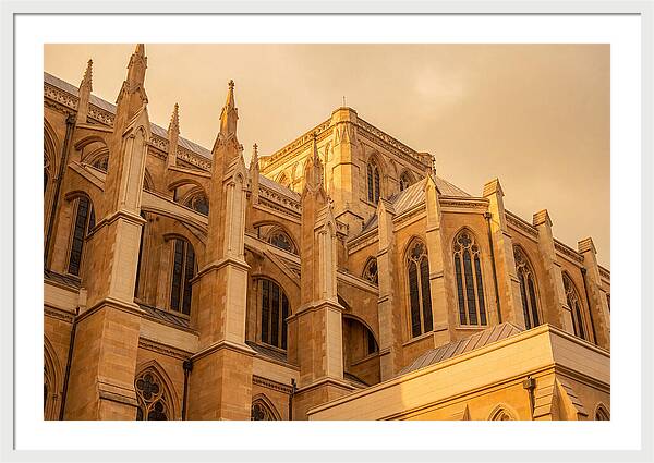 Gothic Cathedral Elegance