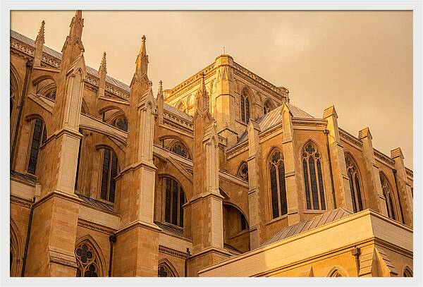 Gothic Cathedral Elegance